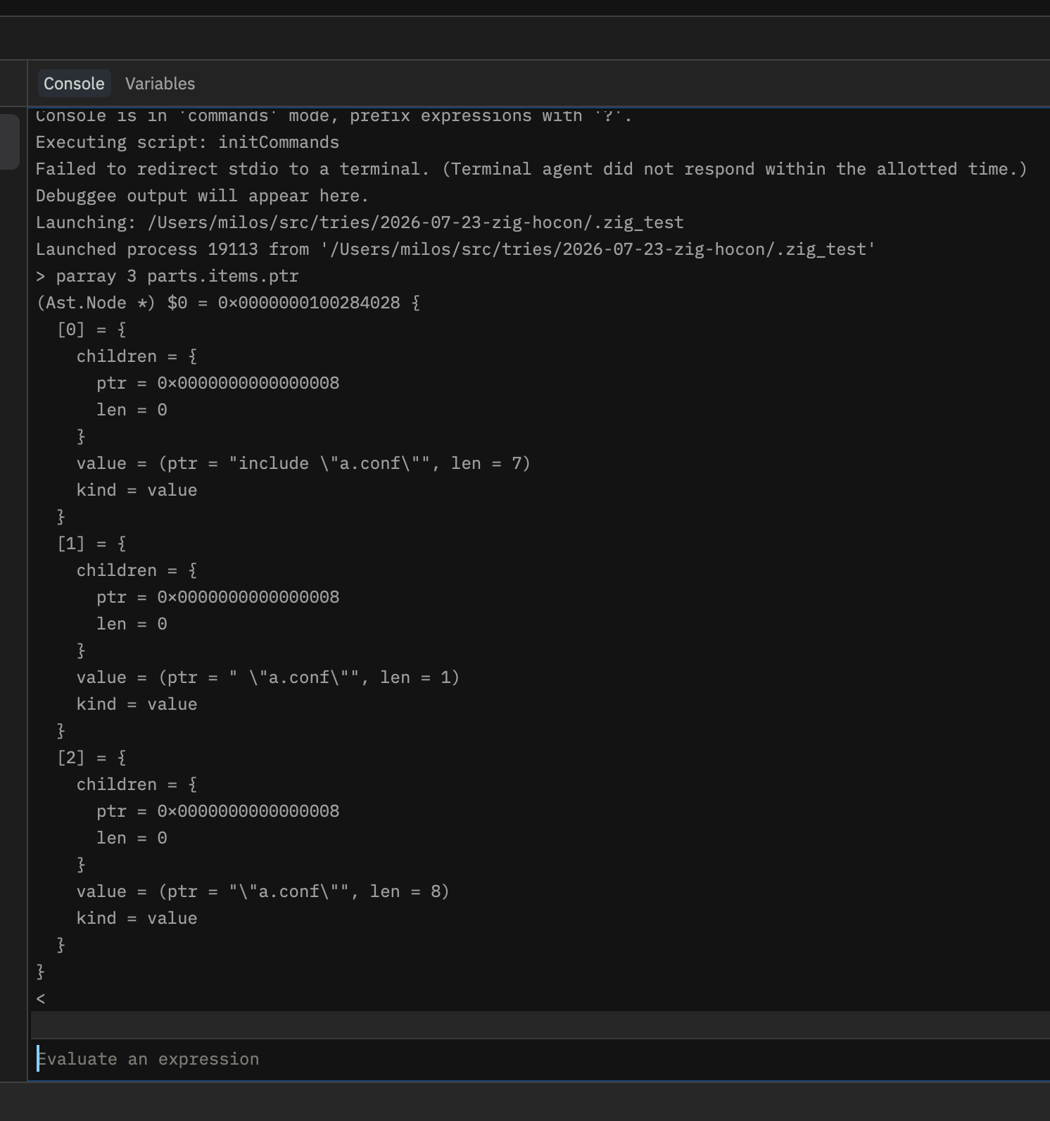 parray in the debug console