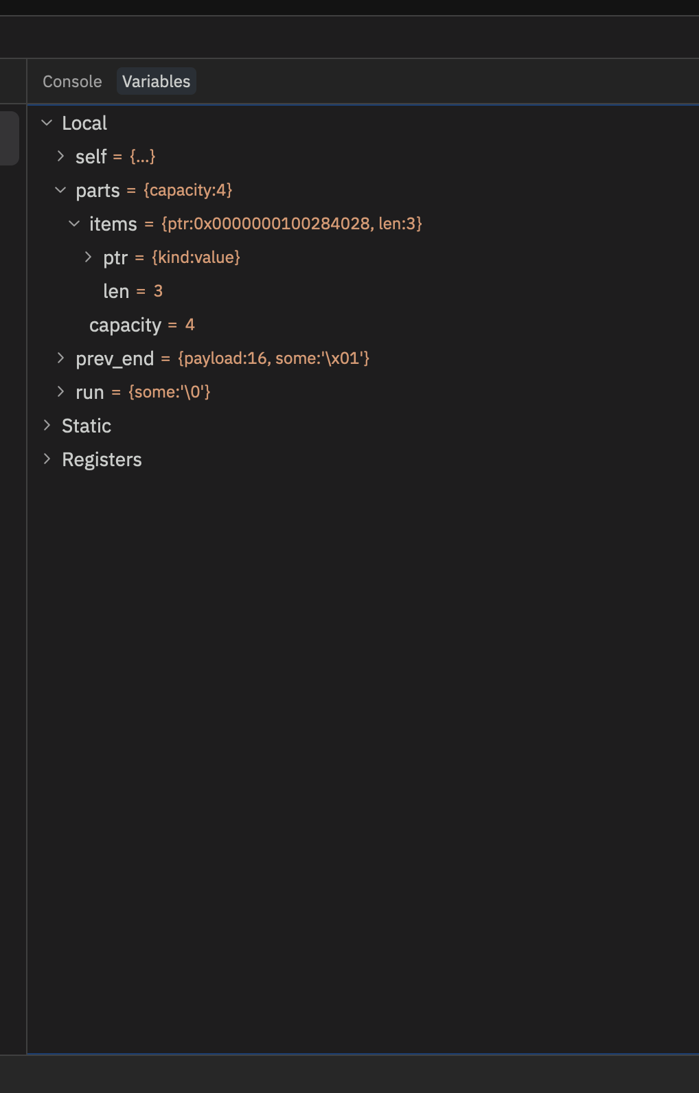 Variables panel before: raw ptr/len/capacity